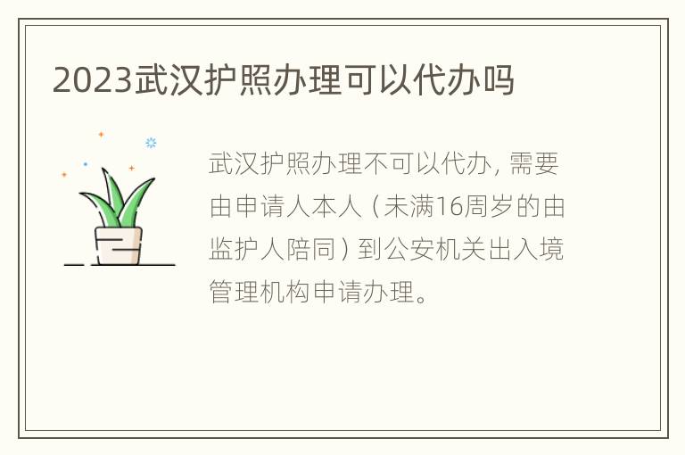 2023武汉护照办理可以代办吗