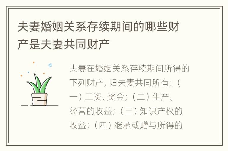 夫妻婚姻关系存续期间的哪些财产是夫妻共同财产