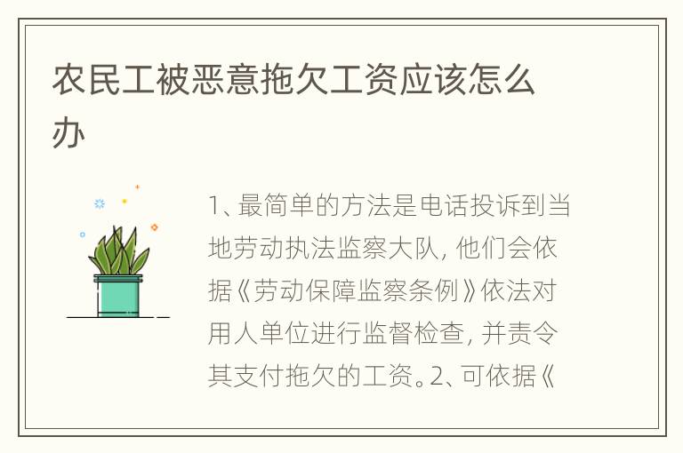 农民工被恶意拖欠工资应该怎么办