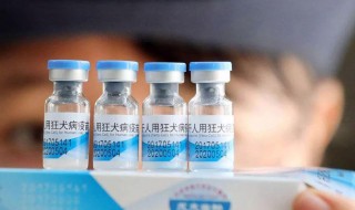 怎样判断用不用打狂犬疫苗 什么情况下打狂犬疫苗