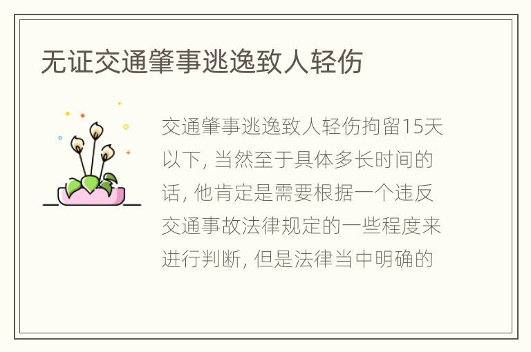 无证交通肇事逃逸致人轻伤