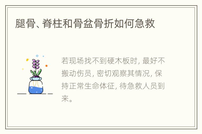腿骨、脊柱和骨盆骨折如何急救