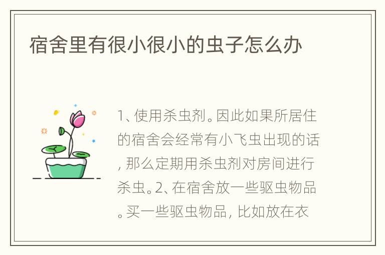 宿舍里有很小很小的虫子怎么办
