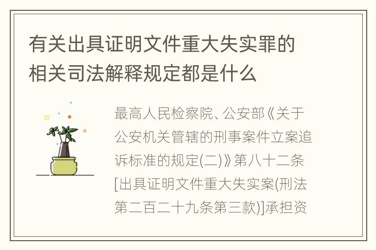 有关出具证明文件重大失实罪的相关司法解释规定都是什么