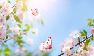形容蓝色天空的句子 形容蓝色天空的句子精选