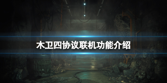 木卫四协议能联机吗-木卫四协议联机功能介绍