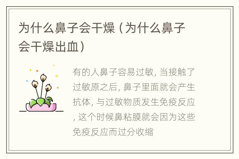 为什么鼻子会干燥（为什么鼻子会干燥出血）