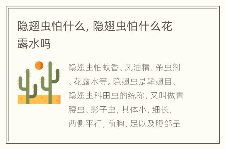隐翅虫怕什么，隐翅虫怕什么花露水吗
