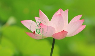 立夏节气的古诗 立夏节气的谚语