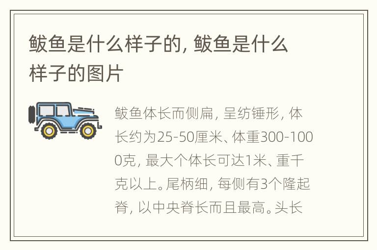 鲅鱼是什么样子的，鲅鱼是什么样子的图片