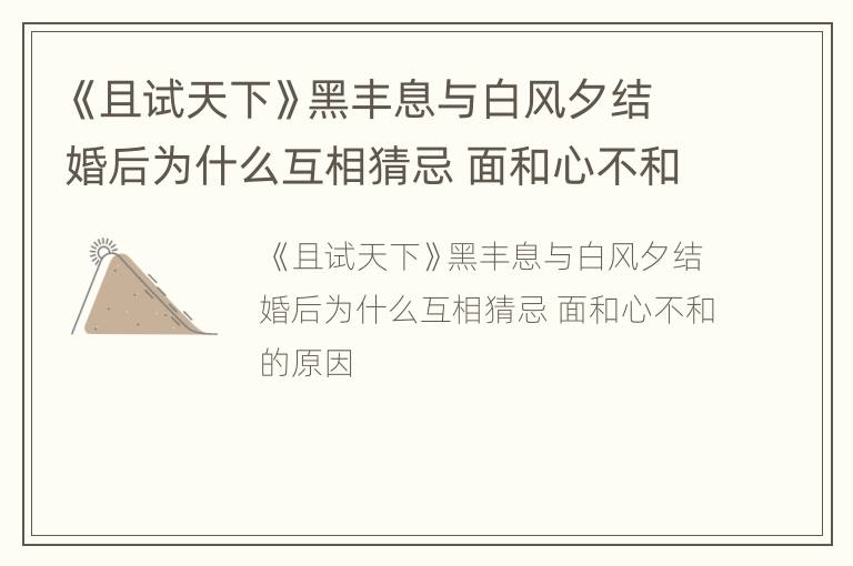《且试天下》黑丰息与白风夕结婚后为什么互相猜忌 面和心不和的原因