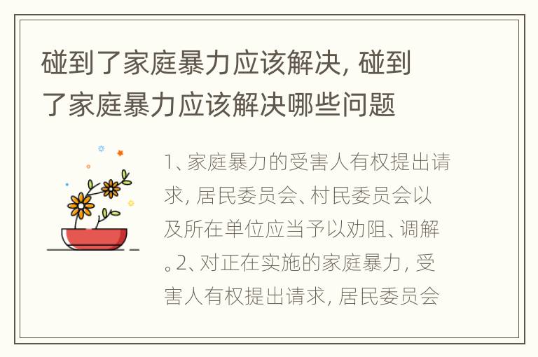 碰到了家庭暴力应该解决，碰到了家庭暴力应该解决哪些问题