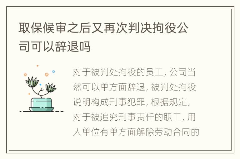 取保候审之后又再次判决拘役公司可以辞退吗