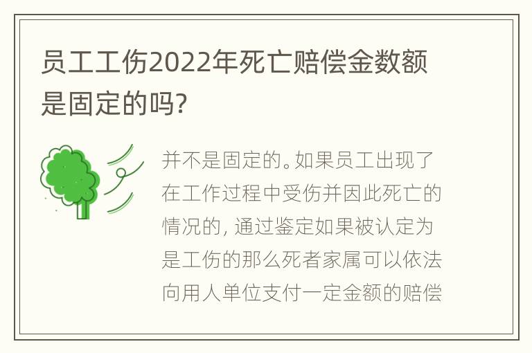 员工工伤2022年死亡赔偿金数额是固定的吗？