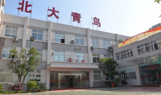 北大青鸟学校简介 北大青鸟学校介绍