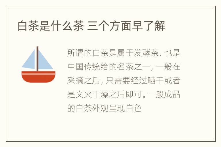 白茶是什么茶 三个方面早了解