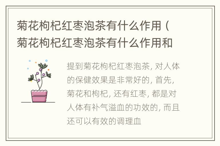 菊花枸杞红枣泡茶有什么作用（菊花枸杞红枣泡茶有什么作用和功效）