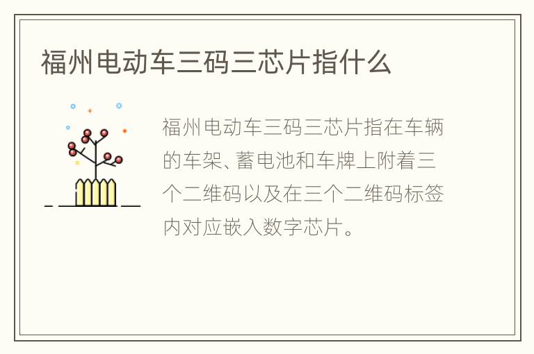 福州电动车三码三芯片指什么
