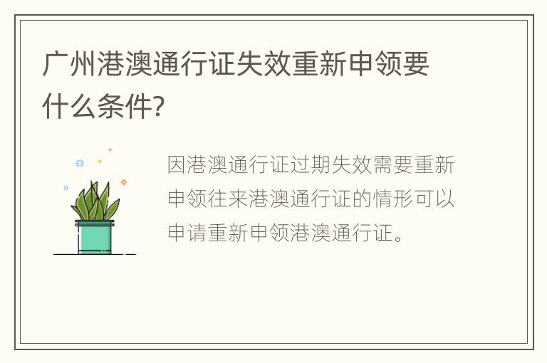 广州港澳通行证失效重新申领要什么条件？