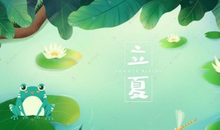 夏至和立夏的区别 夏至和立夏的区别有哪些