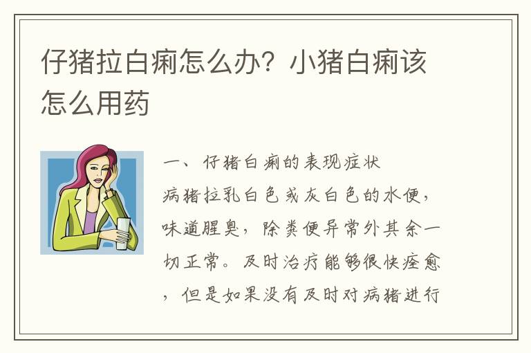 仔猪拉白痢怎么办？小猪白痢该怎么用药