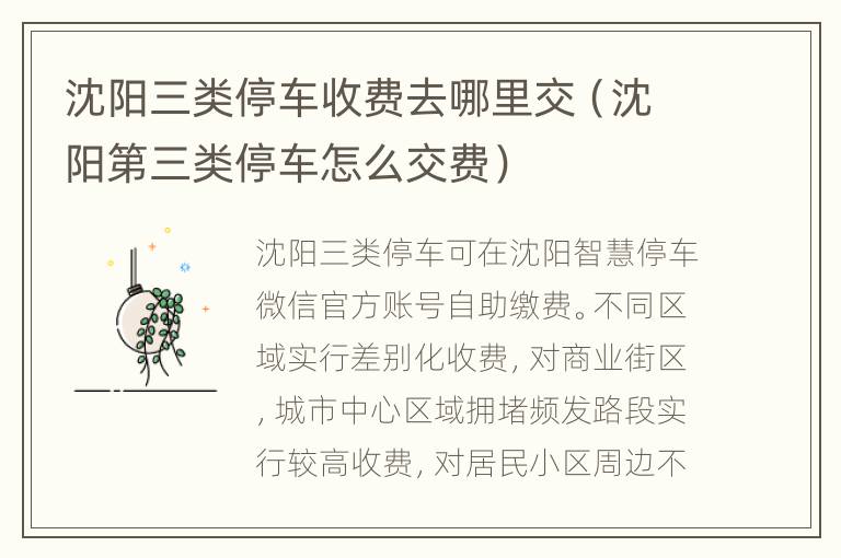 沈阳三类停车收费去哪里交（沈阳第三类停车怎么交费）