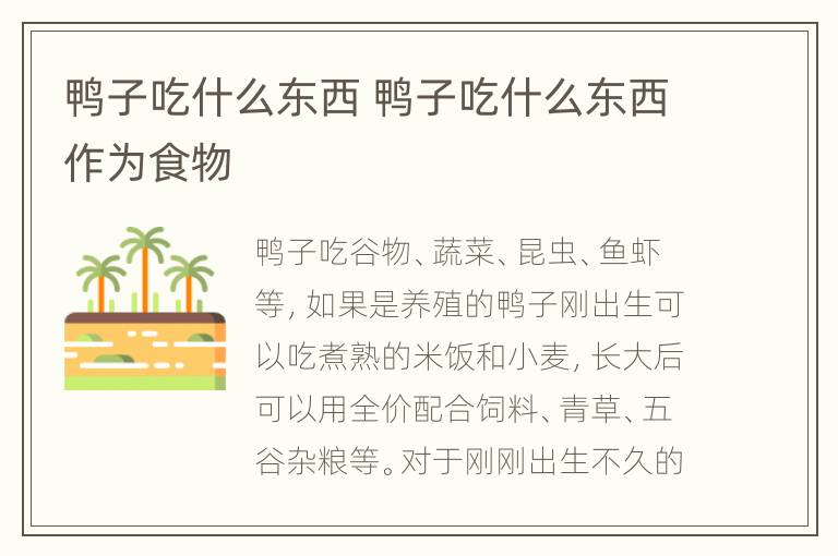 鸭子吃什么东西 鸭子吃什么东西作为食物
