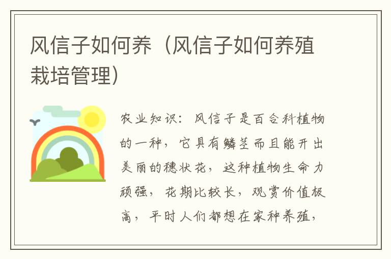 风信子如何养（风信子如何养殖栽培管理）