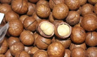 夏威夷果的副作用哪些人不能吃 夏威夷果的食用介绍