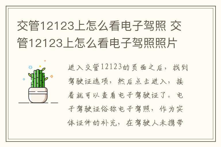 交管12123上怎么看电子驾照 交管12123上怎么看电子驾照照片
