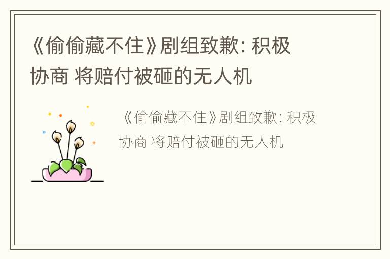 《偷偷藏不住》剧组致歉：积极协商 将赔付被砸的无人机