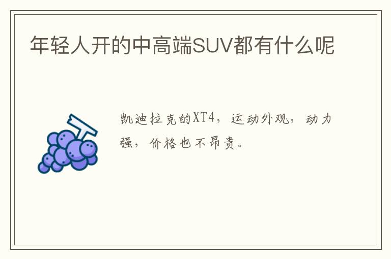 年轻人开的中高端SUV都有什么呢