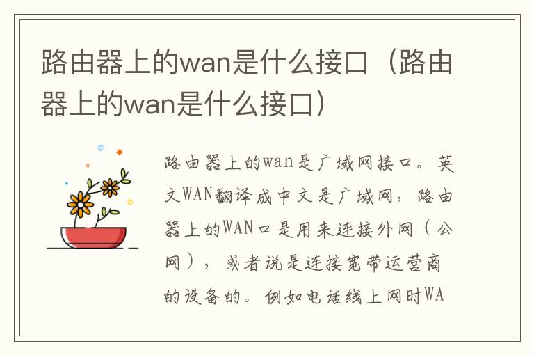 路由器上的wan是什么接口（路由器上的wan是什么接口）