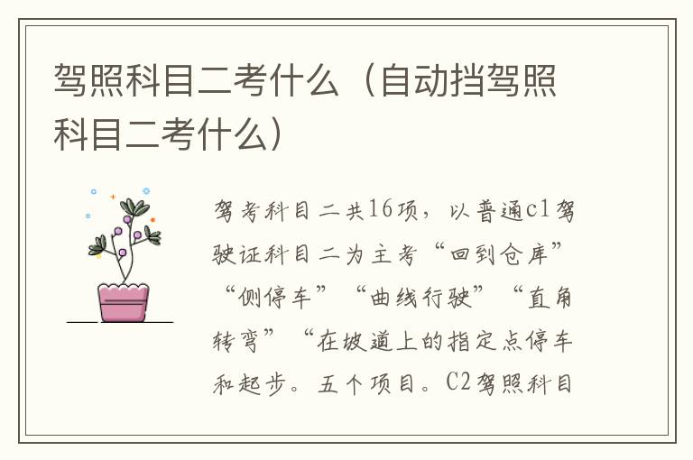 驾照科目二考什么（自动挡驾照科目二考什么）