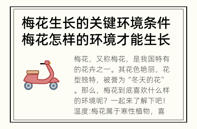 梅花生长的关键环境条件 梅花怎样的环境才能生长良好？