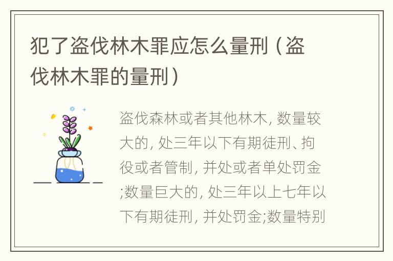 犯了盗伐林木罪应怎么量刑（盗伐林木罪的量刑）