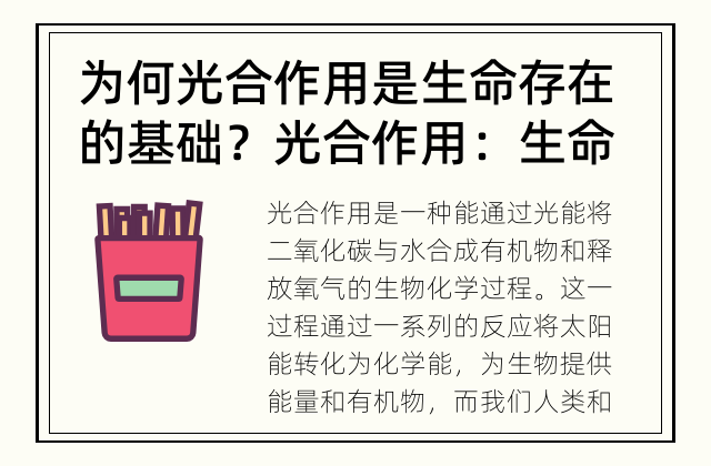 为何光合作用是生命存在的基础？ 光合作用：生命的基础