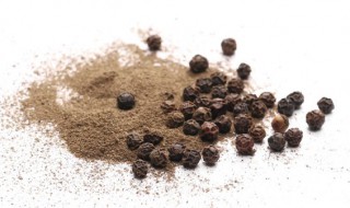 山胡椒的腌制方法 腌制山胡椒的做法