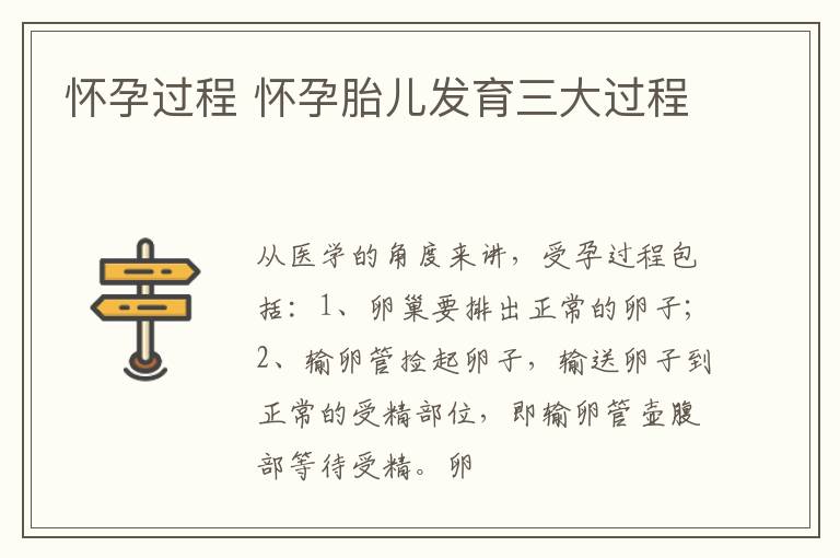 怀孕过程 怀孕胎儿发育三大过程
