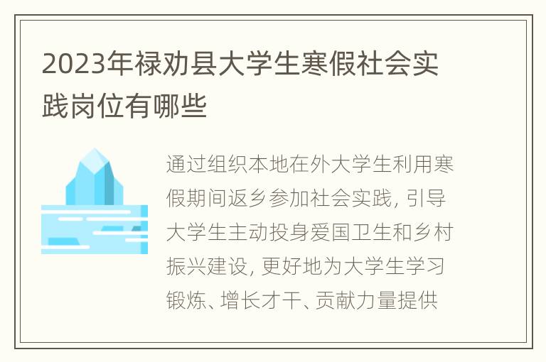 2023年禄劝县大学生寒假社会实践岗位有哪些