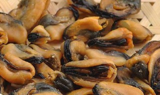 淡菜几月份最肥 什么时候淡菜最肥