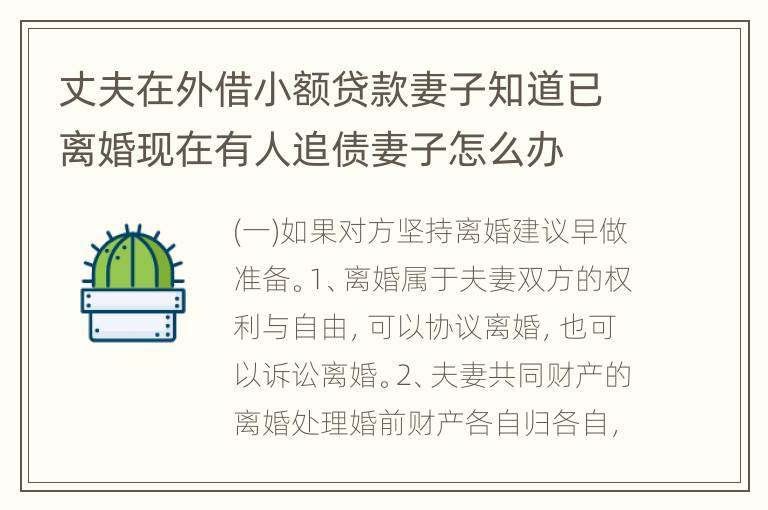 丈夫在外借小额贷款妻子知道已离婚现在有人追债妻子怎么办