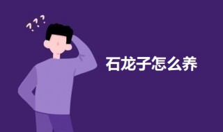 石龙子的养殖方法 石龙子怎么养