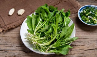 荠菜包扁食怎么做好吃 荠菜扁食的做法