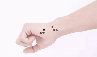 阳谷的准确位置和作用 阳谷穴的准确位置和功效作用