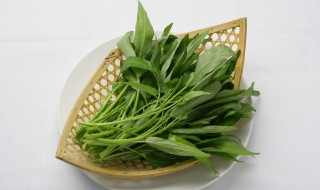 自家种植蔬菜小妙招 家庭种菜的方法