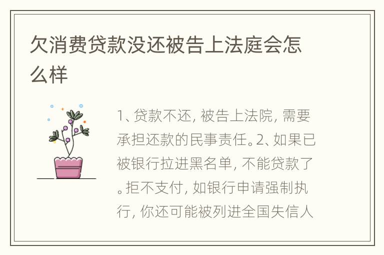 欠消费贷款没还被告上法庭会怎么样