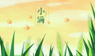 描写小满节气的诗句 描写小满节气的诗词有哪些