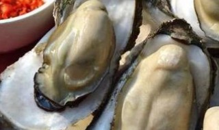海蛎子蒸多久才熟 关于海蛎子蒸多久才能熟