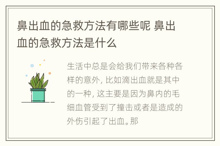 鼻出血的急救方法有哪些呢 鼻出血的急救方法是什么